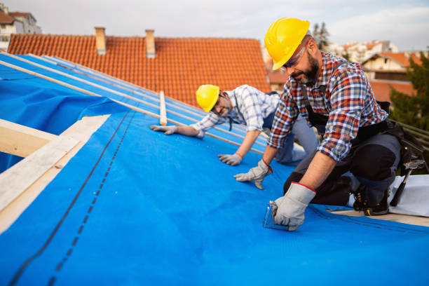 Best Storm Damage Roof Repair  in Shady Spring, WV