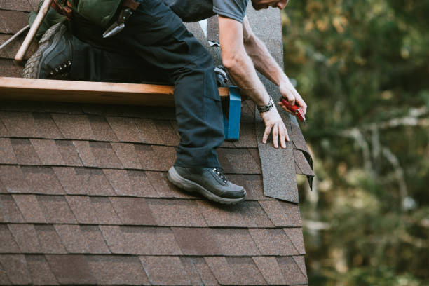 Best Roof Maintenance Services  in Shady Spring, WV